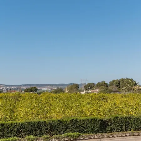 Exclusive Modern Villa Los Montesinos